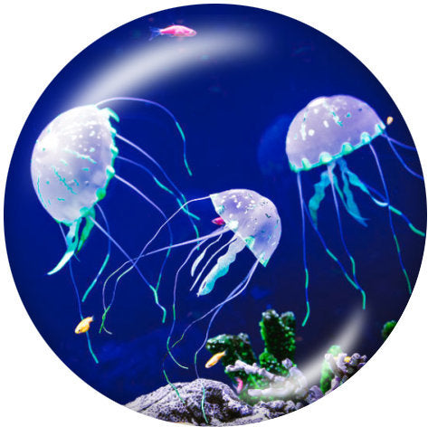 Jellyfish Snap