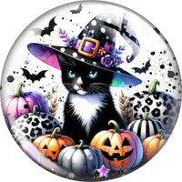 Witchy Cat Snap