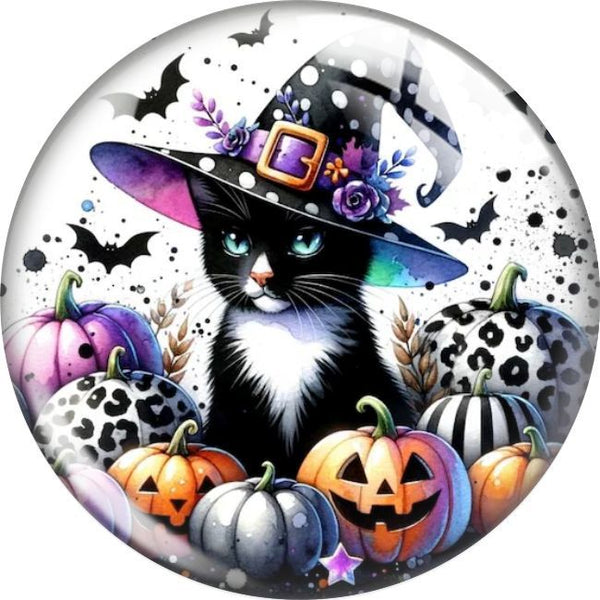 Witchy Cat Snap
