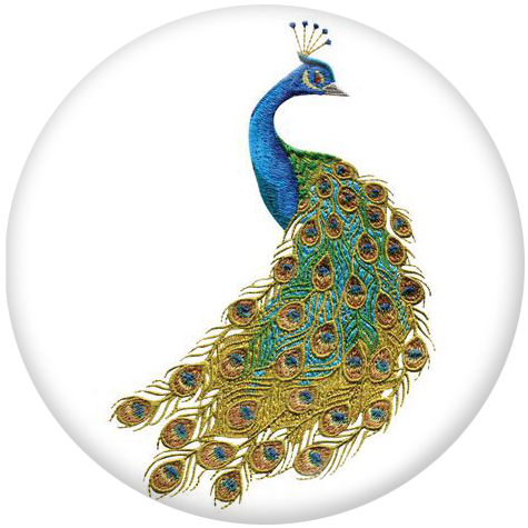 Peacock Snap