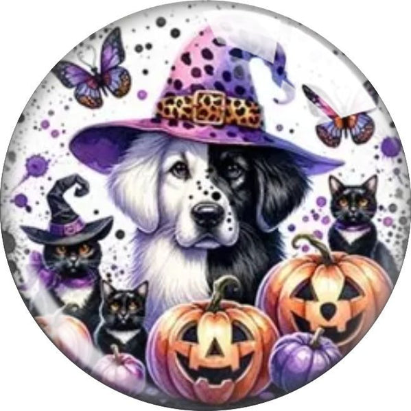 Witchy Dog Snap