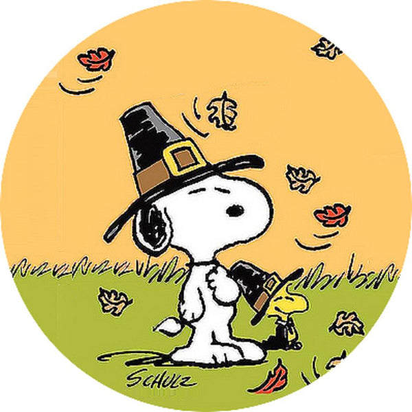 Pilgrim Snoopy Woodstock Snap - Main Image