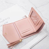Pocket Wallet in Pink